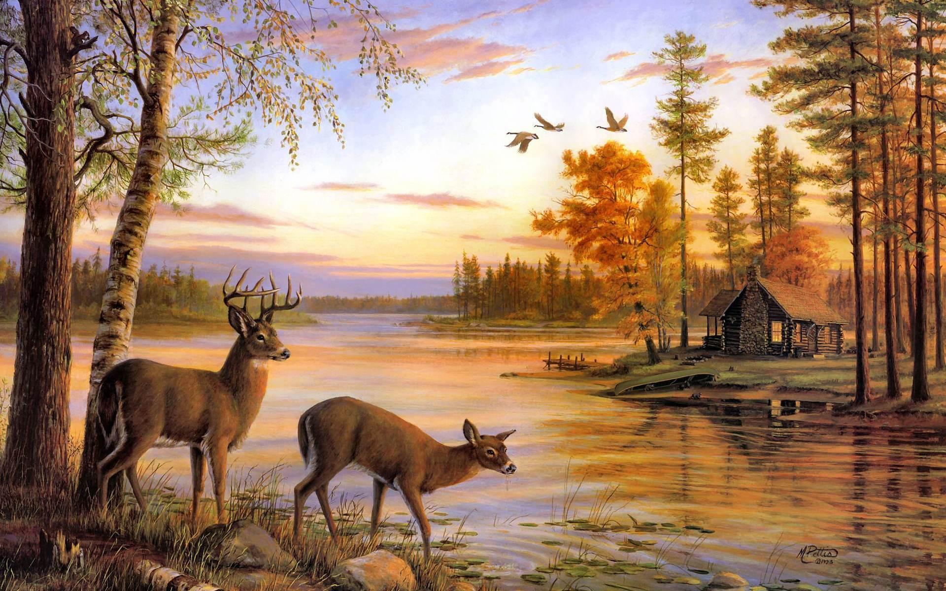 Beautiful Deer Wallpapers Best Of 4K Most Beatiful Beautiful Deer