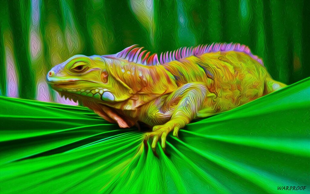 IGUANA Wallpapers and Backgrounds Wallpaper