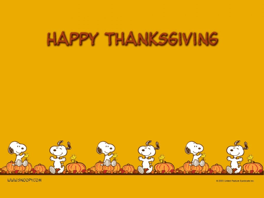 Wallpapers For – Funny Thanksgiving Wallpapers Desktop