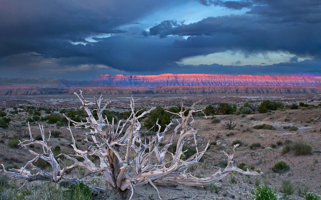 Daily Wallpaper Capitol Reef National Park