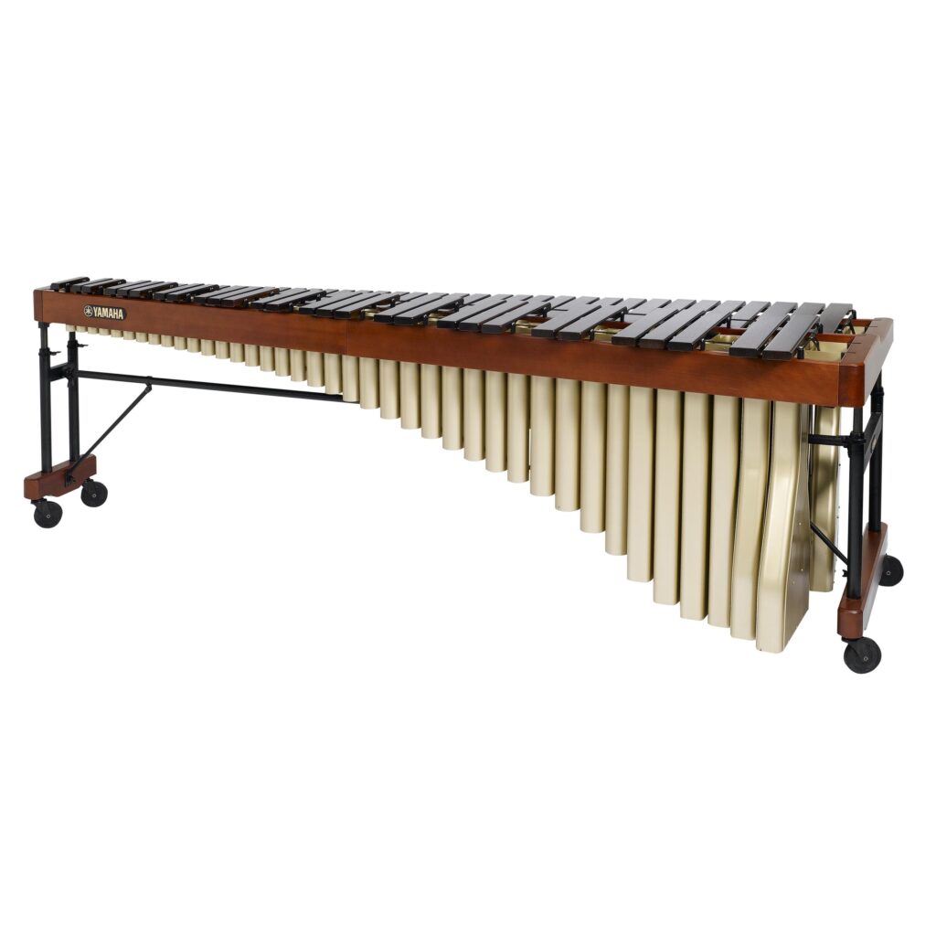 Pictures of Marimba Instrument 4K View