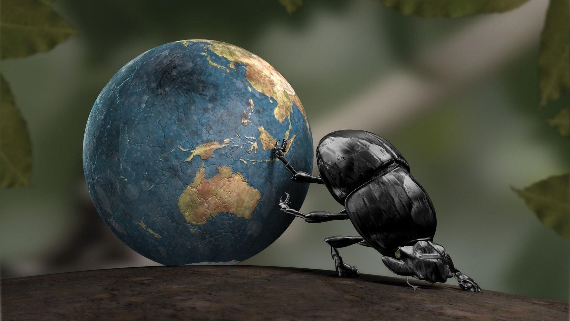 Earth, Insect, CGI, Dung Beetle, Crabs Wallpapers HD
