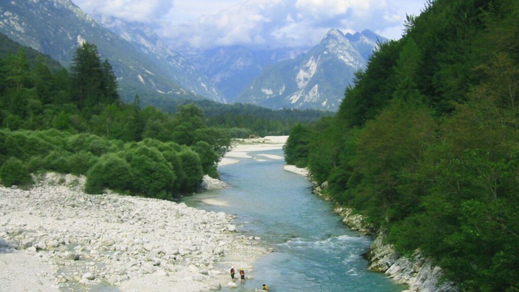 River Lined with Trees into Mountains desk 4K wallpapers