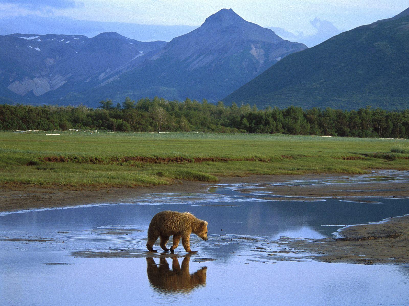 Katmai National Park, Alaska This park on the Alaska Peninsula