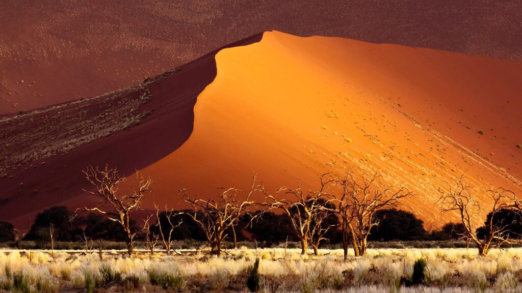 Sossusvlei