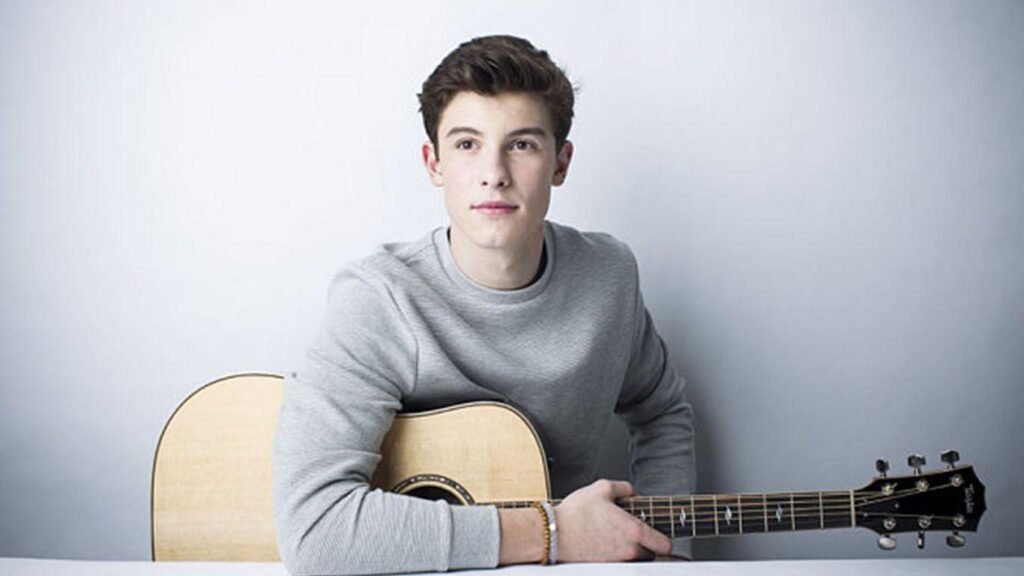 Shawn Mendes Things You Didn&Know