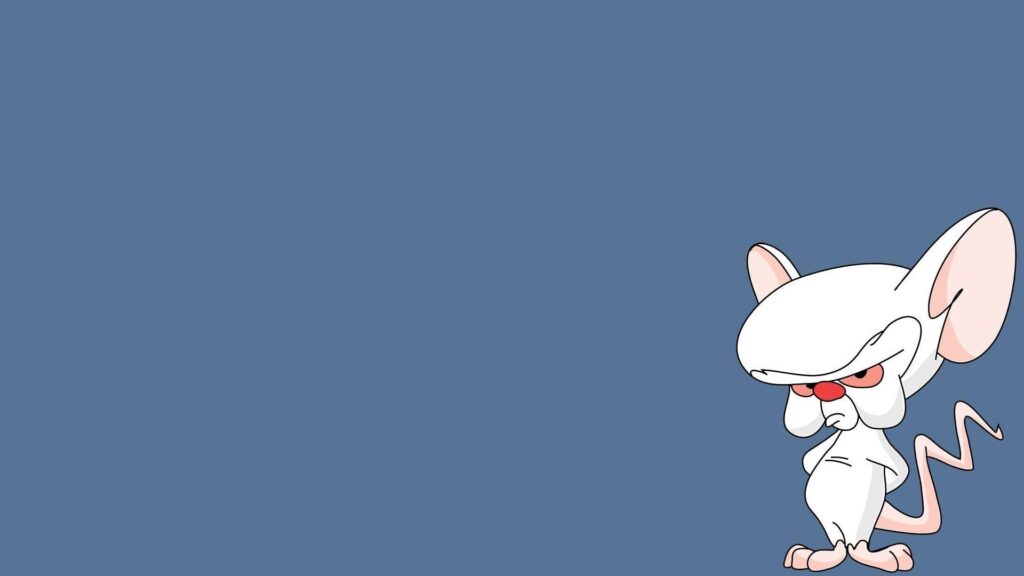 Pinky And The Brain Wallpapers and Backgrounds Wallpaper
