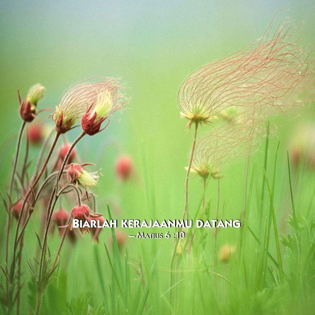 Grassflowers, jehovah’s witnesses yeartext for ipad, …