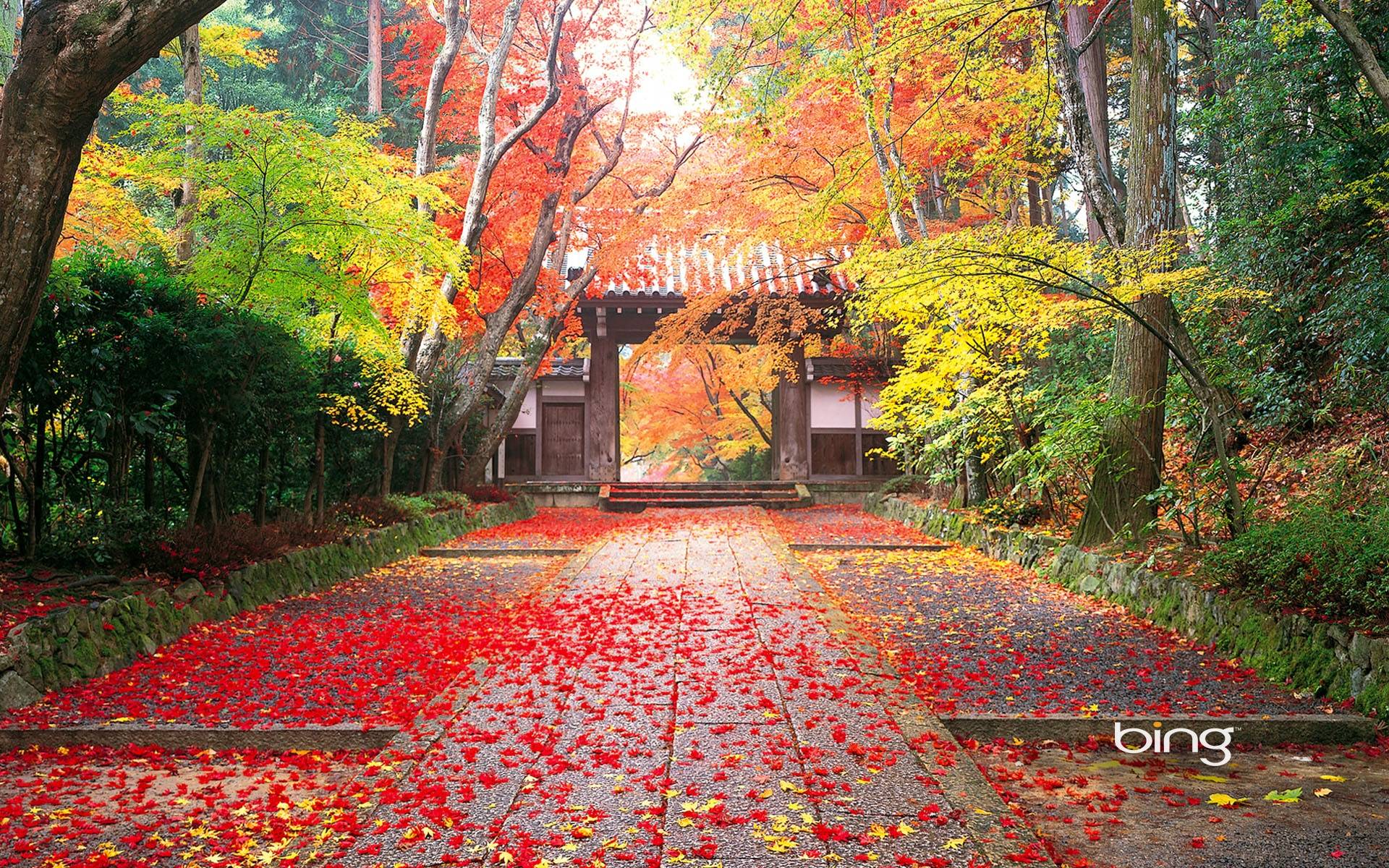 Autumn in Japan Wallpapers