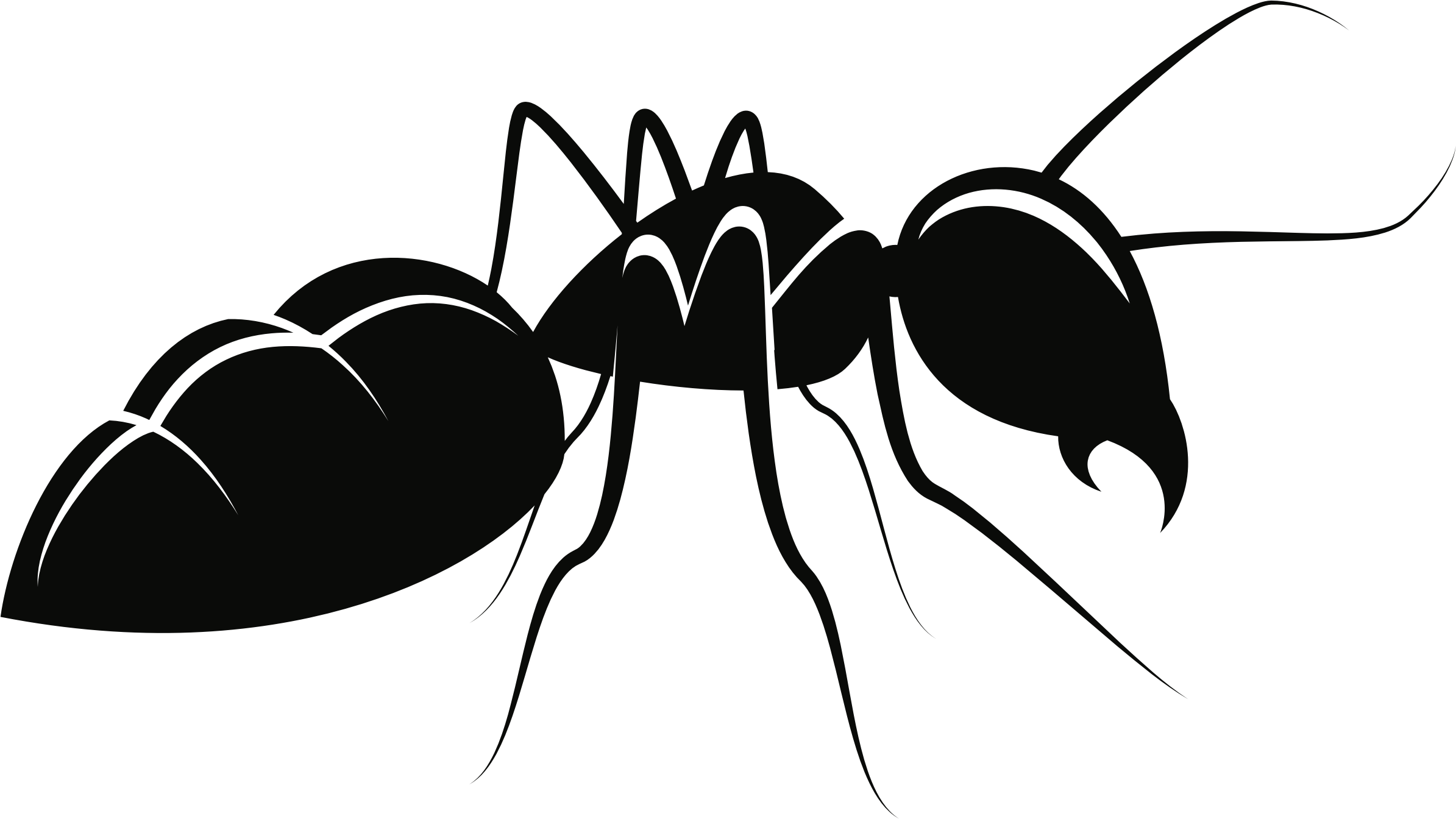 Insect clipart carpenter ant, Insect carpenter ant