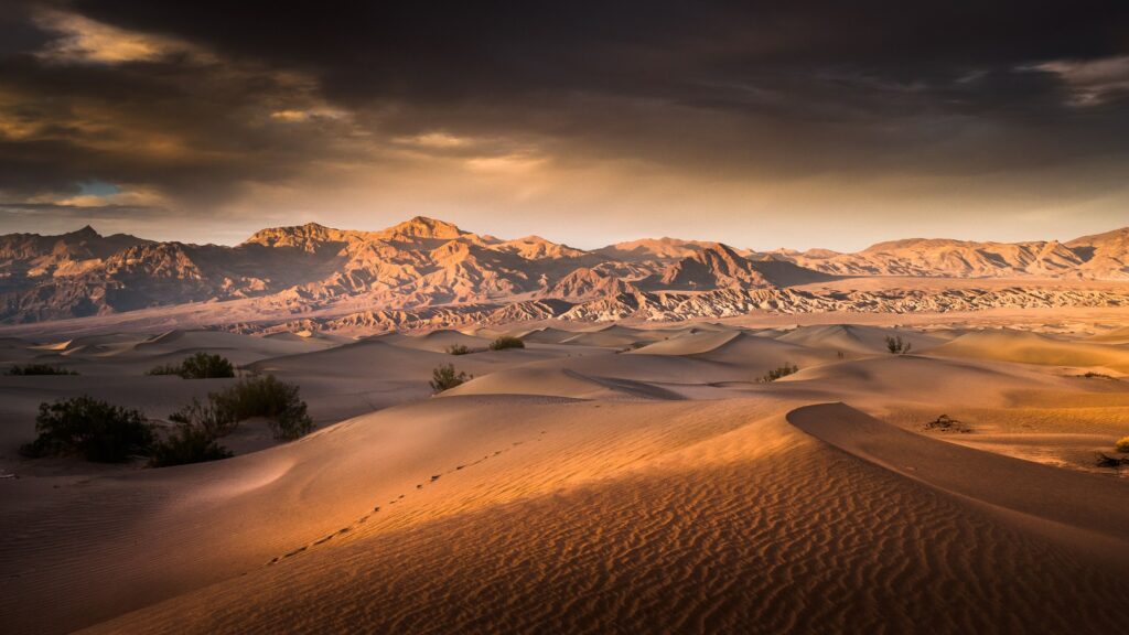 Sunrise Over The Mesquite Flat Sand Dunes