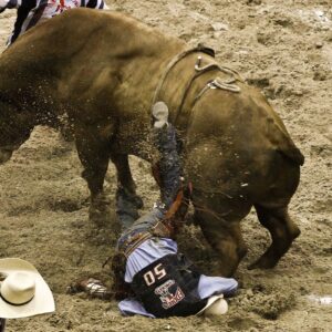 Bull Riding