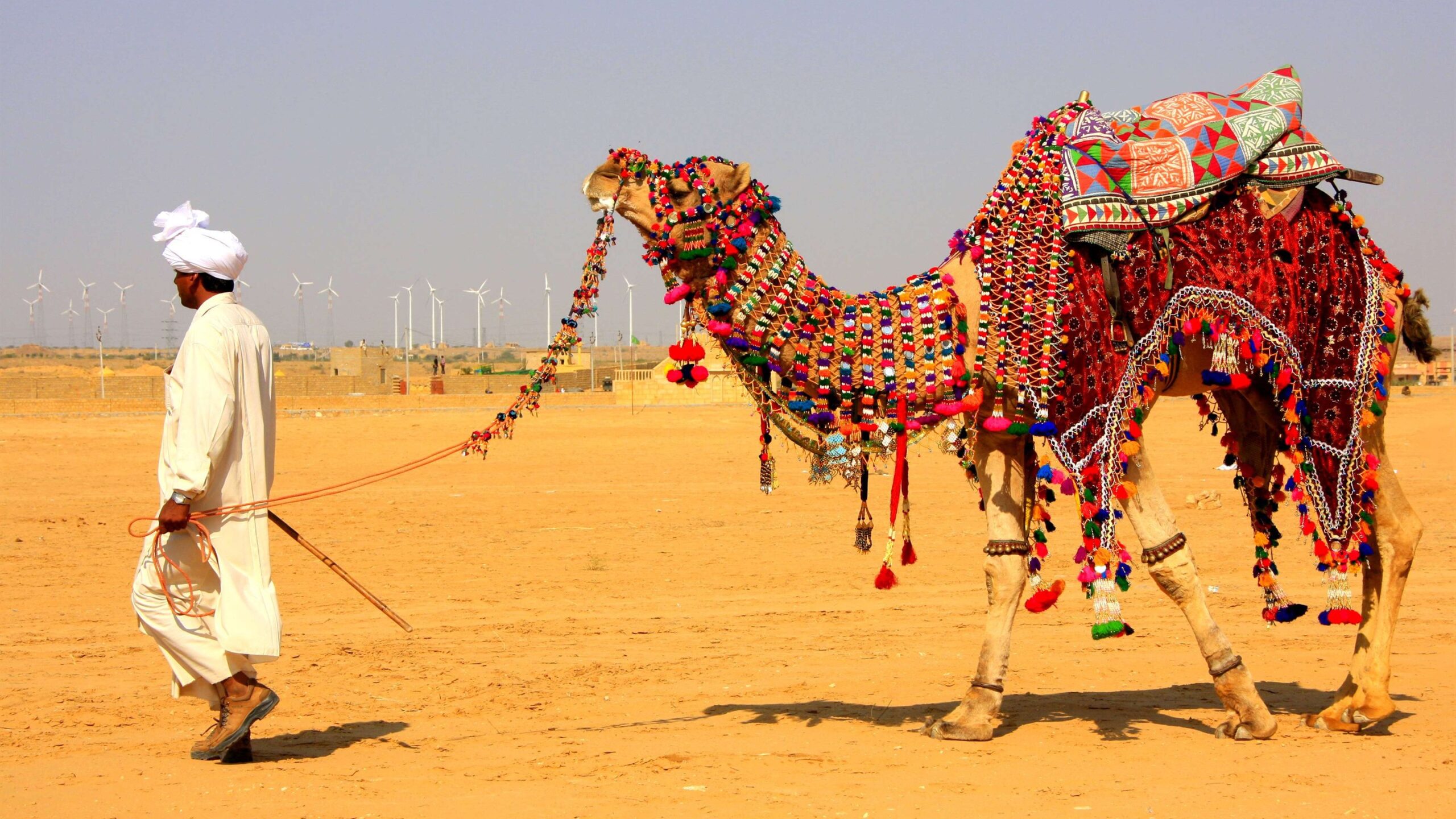 Camel Decorated in Jaisalmer Desert Safari