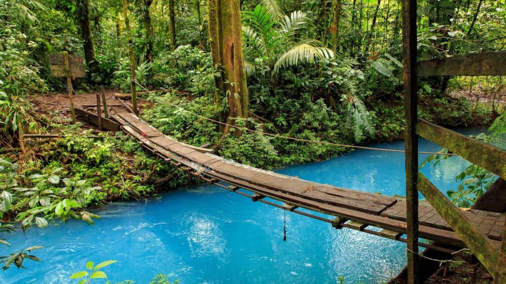 Nature, Costa Rica, Volcano Tenorio National Park