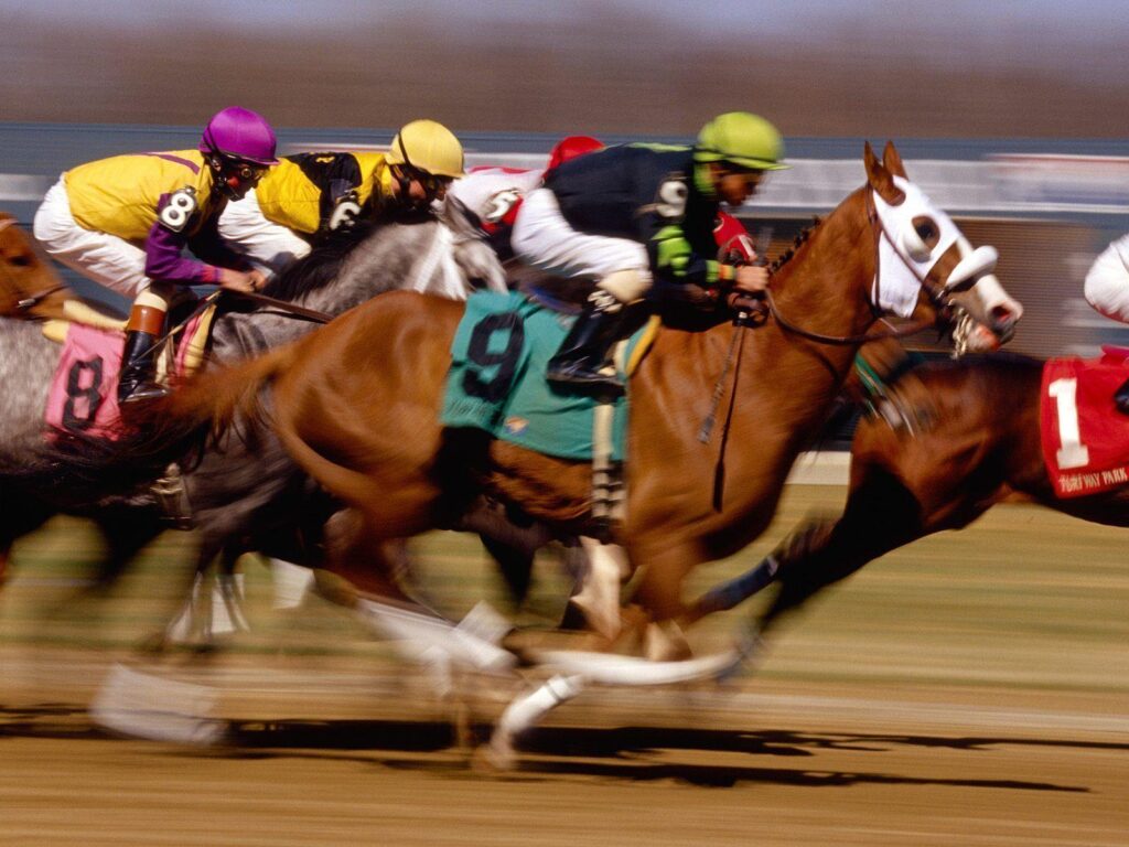 Animals For – Horse Racing Wallpapers Screensaver