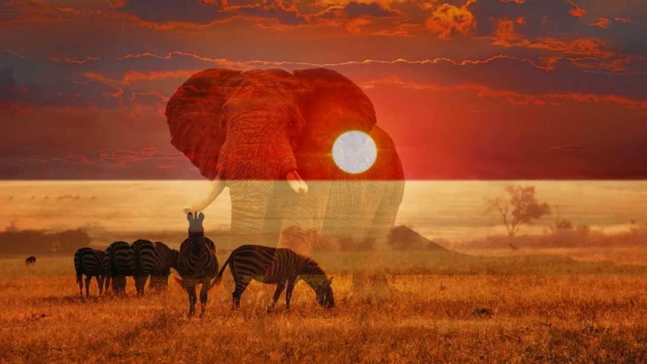 Africa By Toto With Lyrics