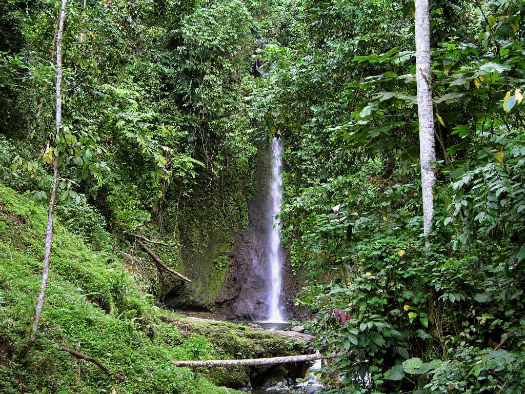 Bombaim Falls