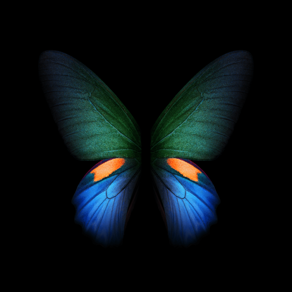 Download Samsung Galaxy Fold Wallpapers In High Quality!