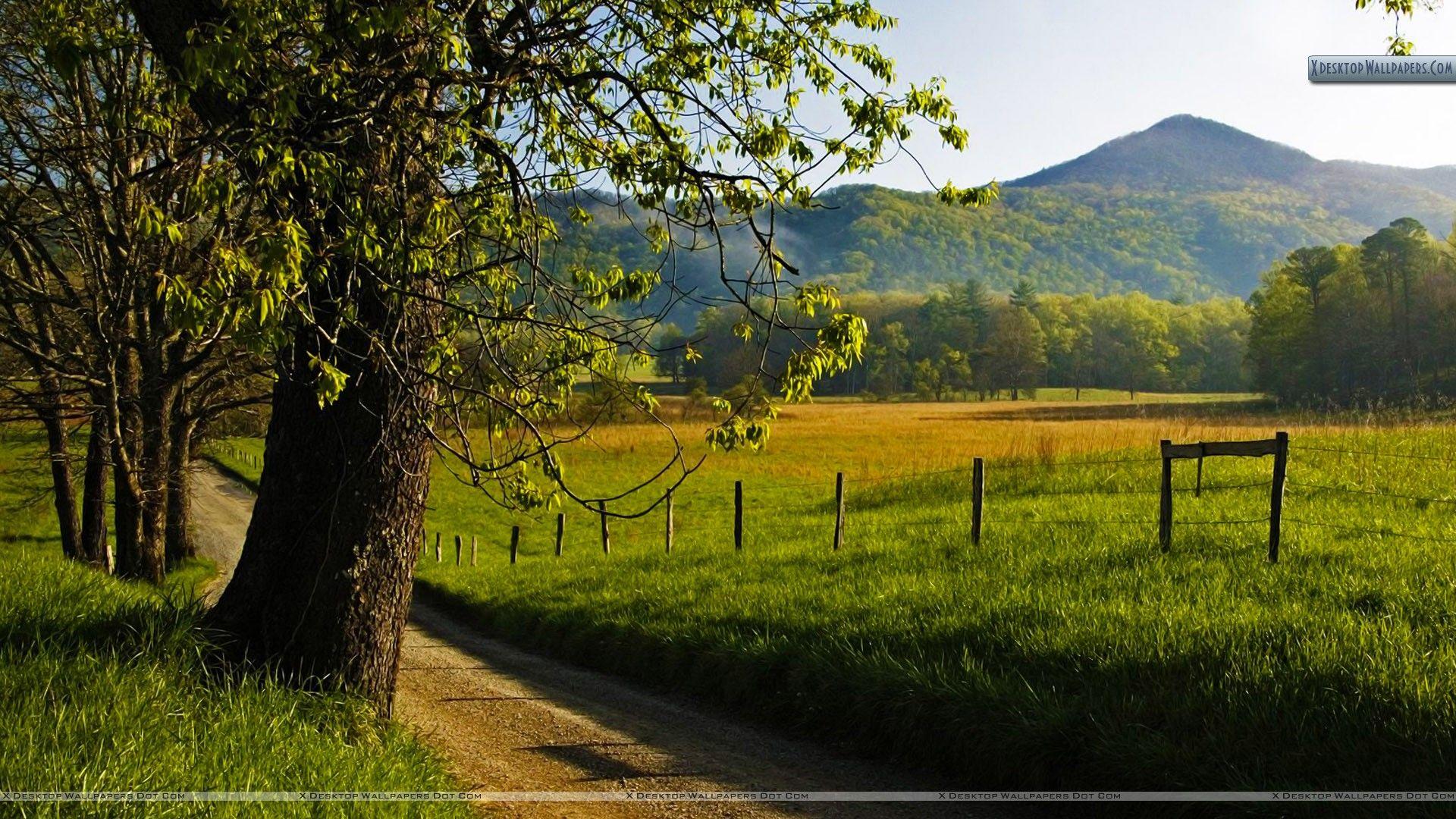 Hyatt Lane in Spring, Great Smoky Mountains, Tennessee Wallpapers