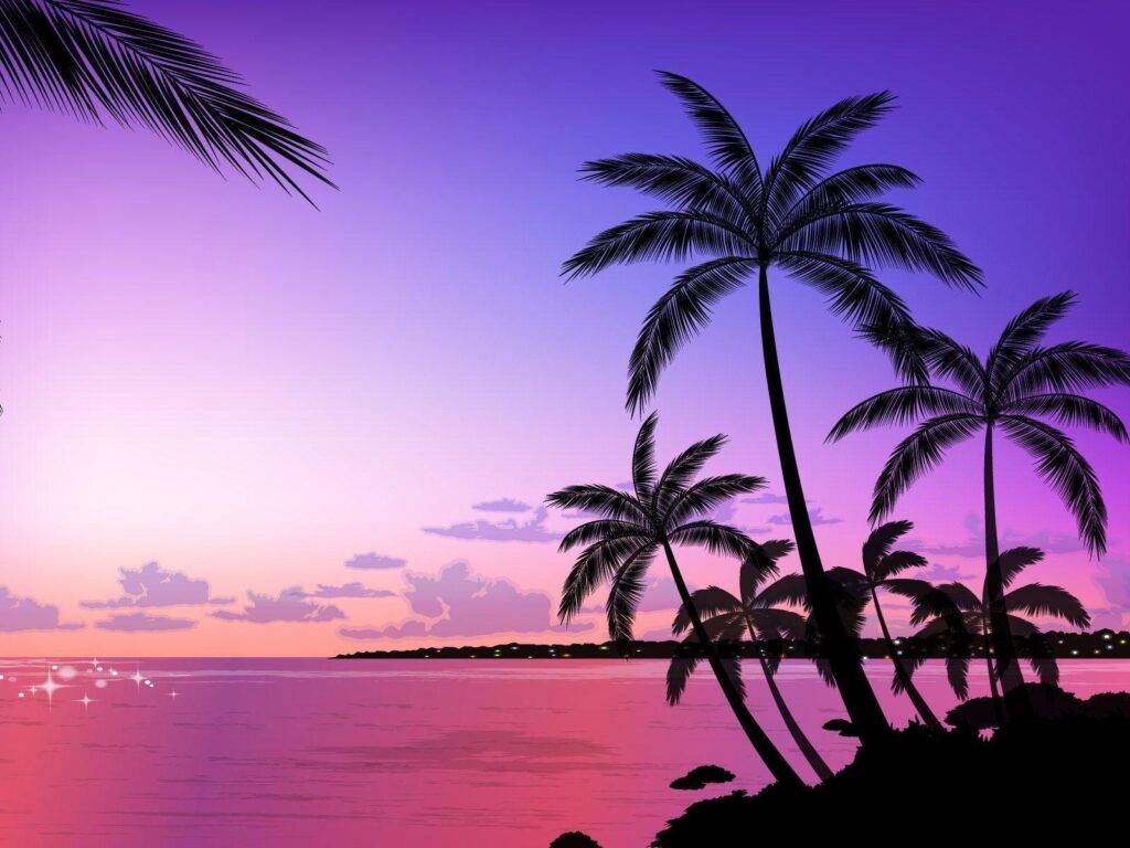 Tropical palm tree wallpapers