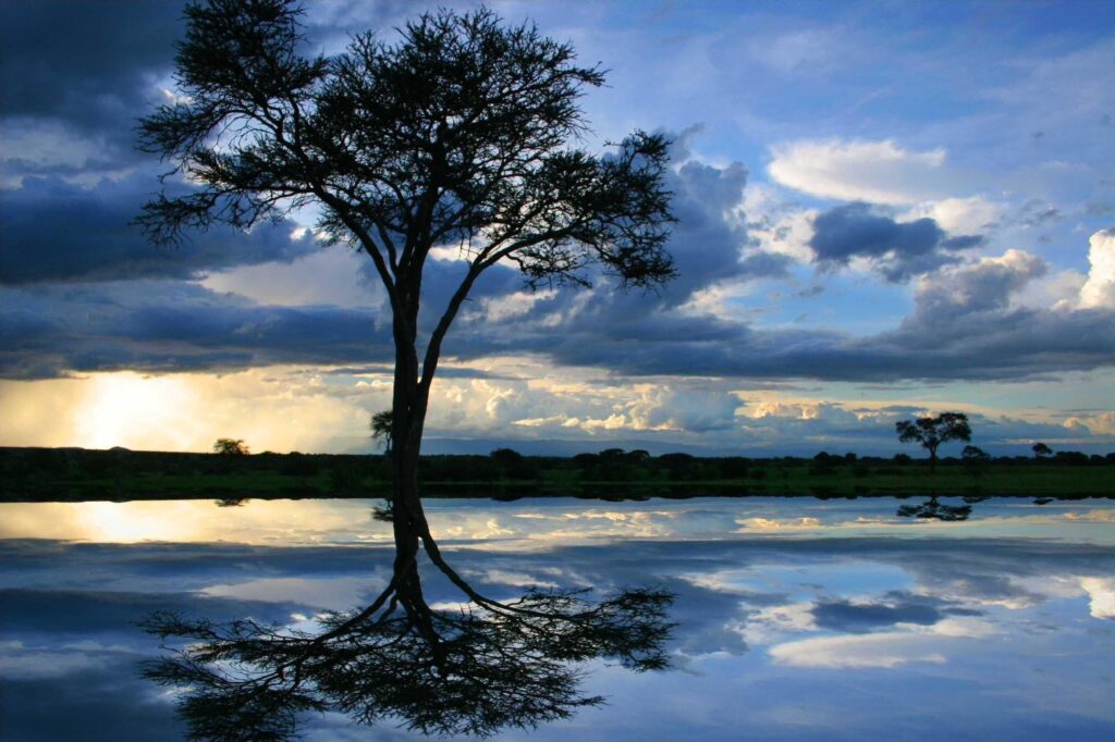 Lake Africa Water Tanzania Blue Tree Landscape Lake Wallpapers
