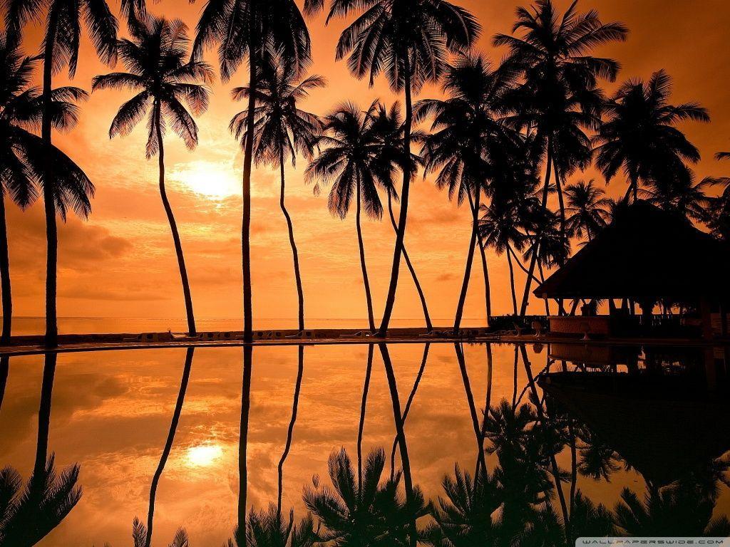 Hawaiian Beach Sunset Reflection 2K desk 4K wallpapers High