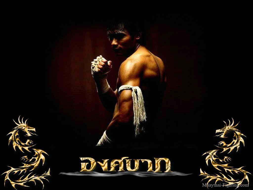 Muay Thai Wallpapers HD