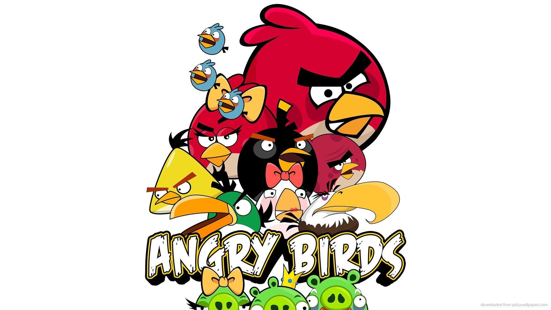 Download Angry Bird Wallpapers