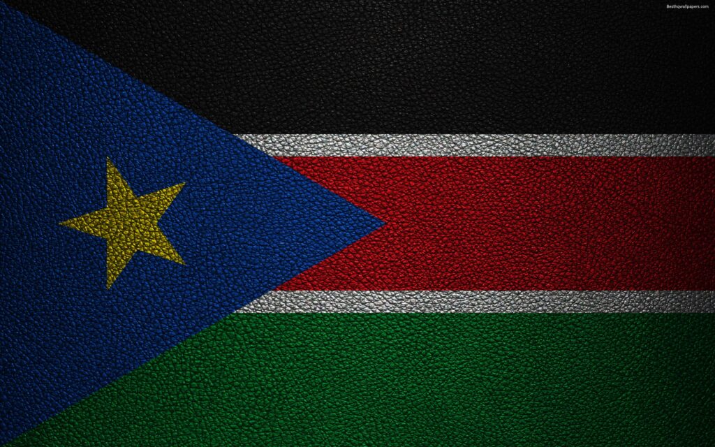 Download wallpapers Flag of South Sudan, Africa, k, leather texture