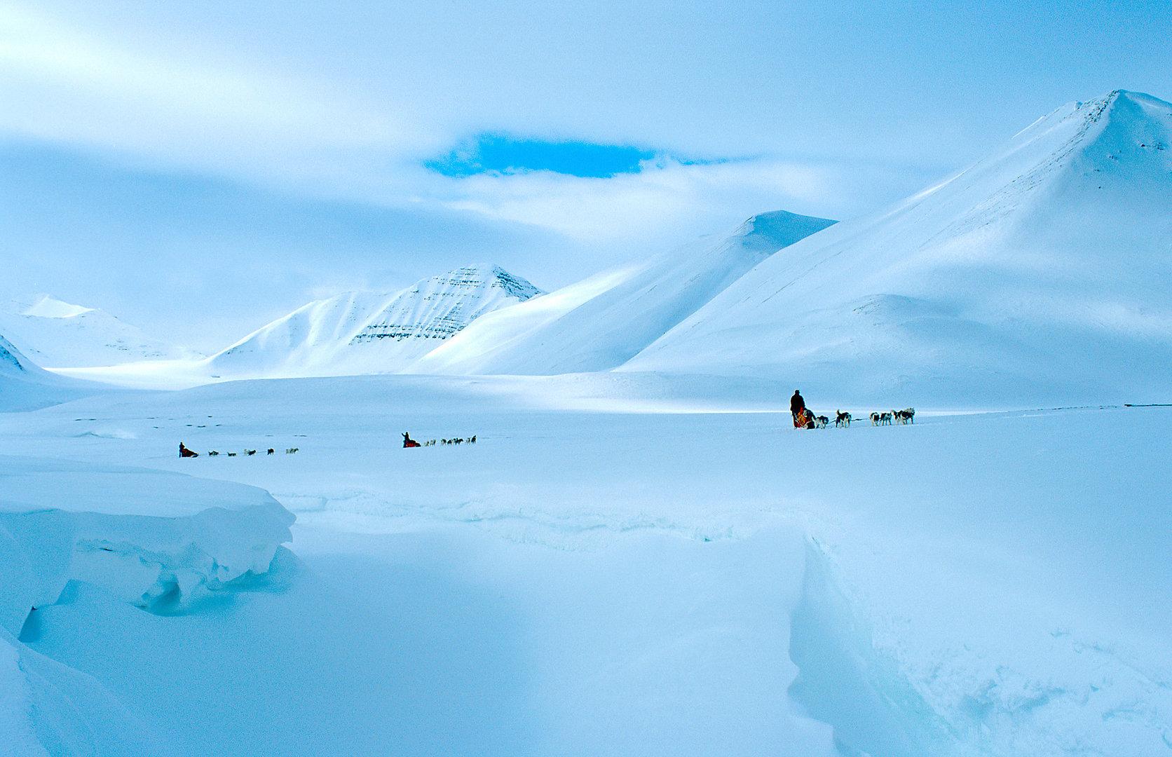In Svalbard wallpapers