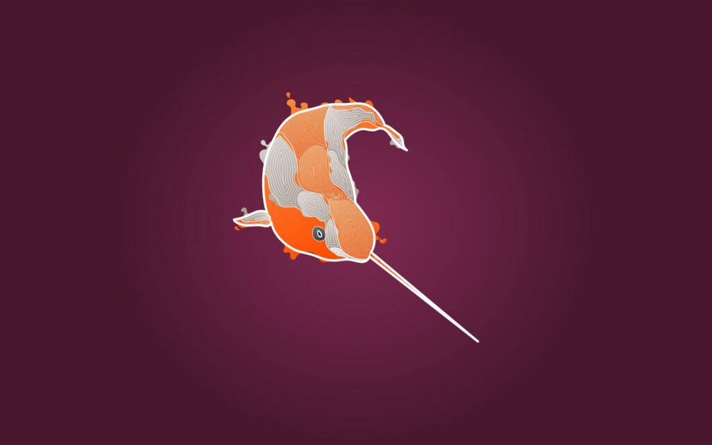 Download the Koi Narwhal Wallpaper, Koi Narwhal iPhone Wallpapers