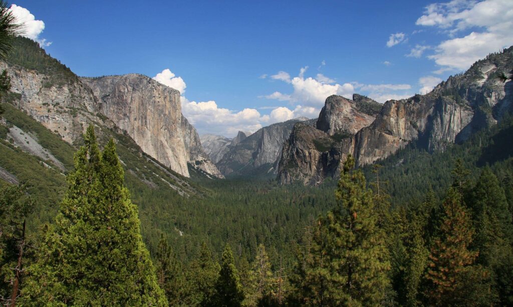Sequoia National Park Wallpapers, 4K Ranked Sequoia National