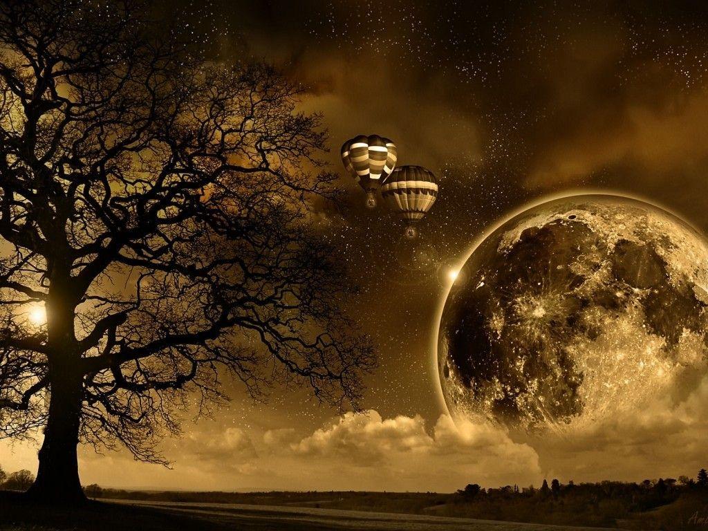 Field Tree Sepia Nature Dreamy Dream Moon Strawberry Fields