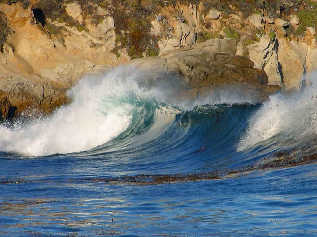 Free Waves Near Big Sur Backgrounds