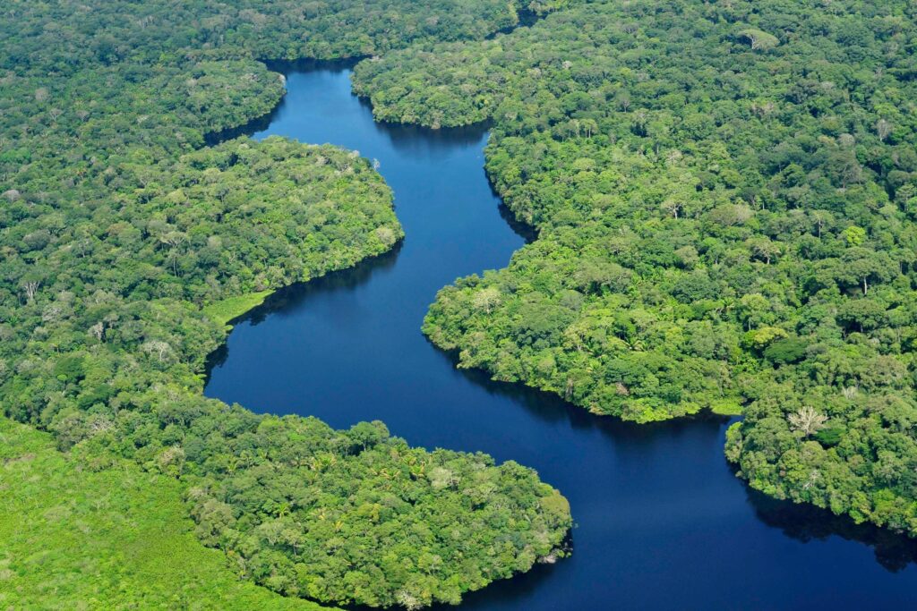 Beautiful Long Amazon River 2K Photo