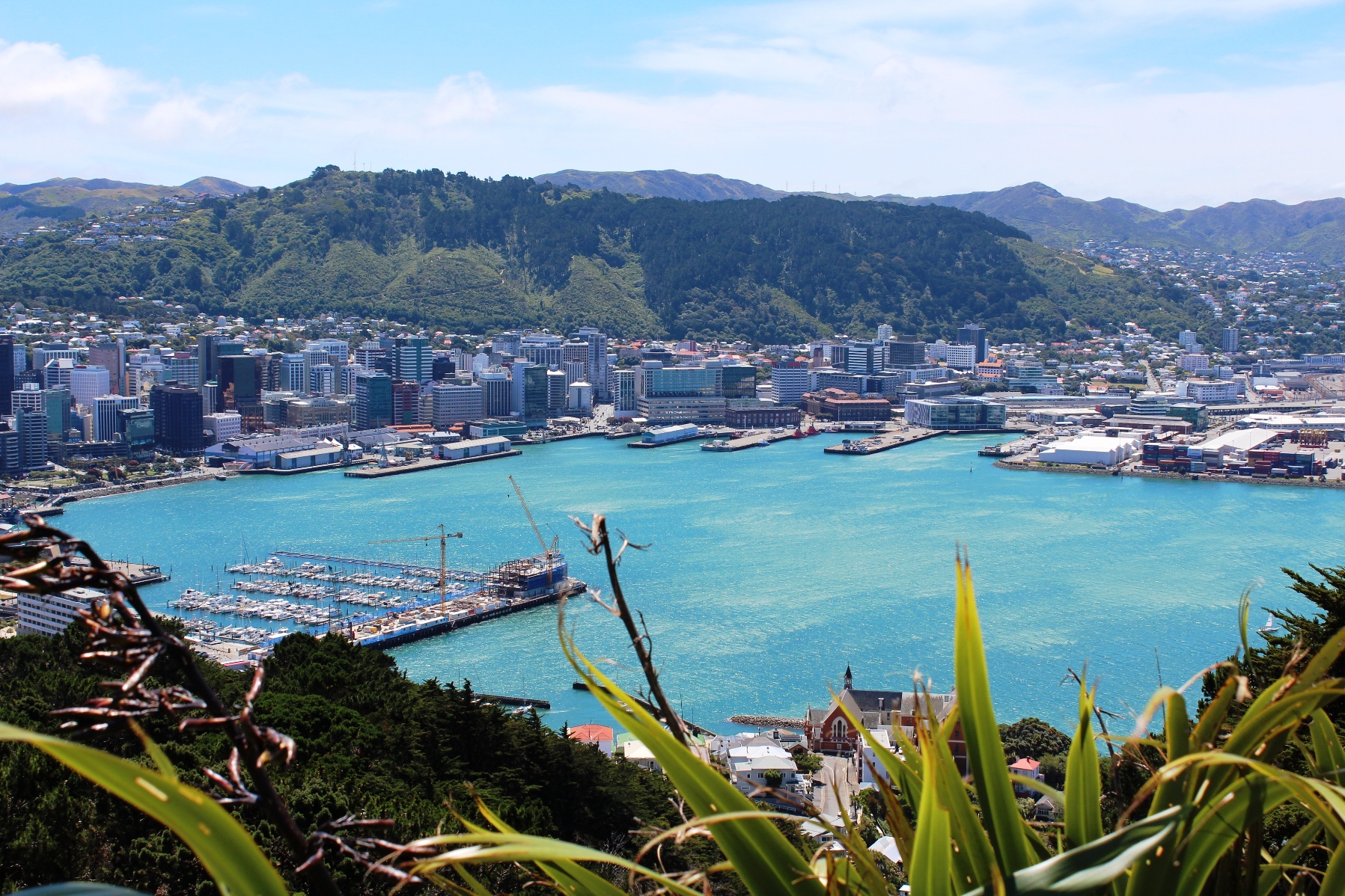 HD Wellington New Zealand Wallpapers and Photos