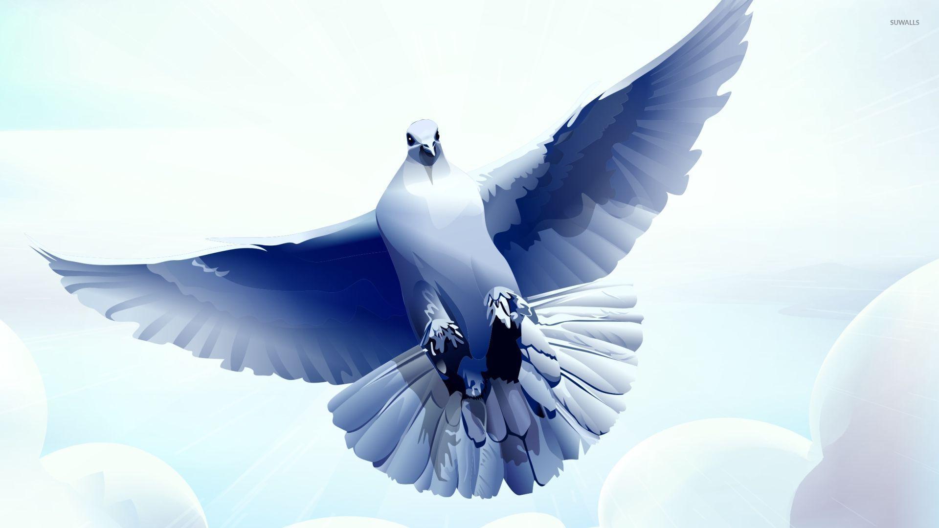 Dove with wings spread wallpapers