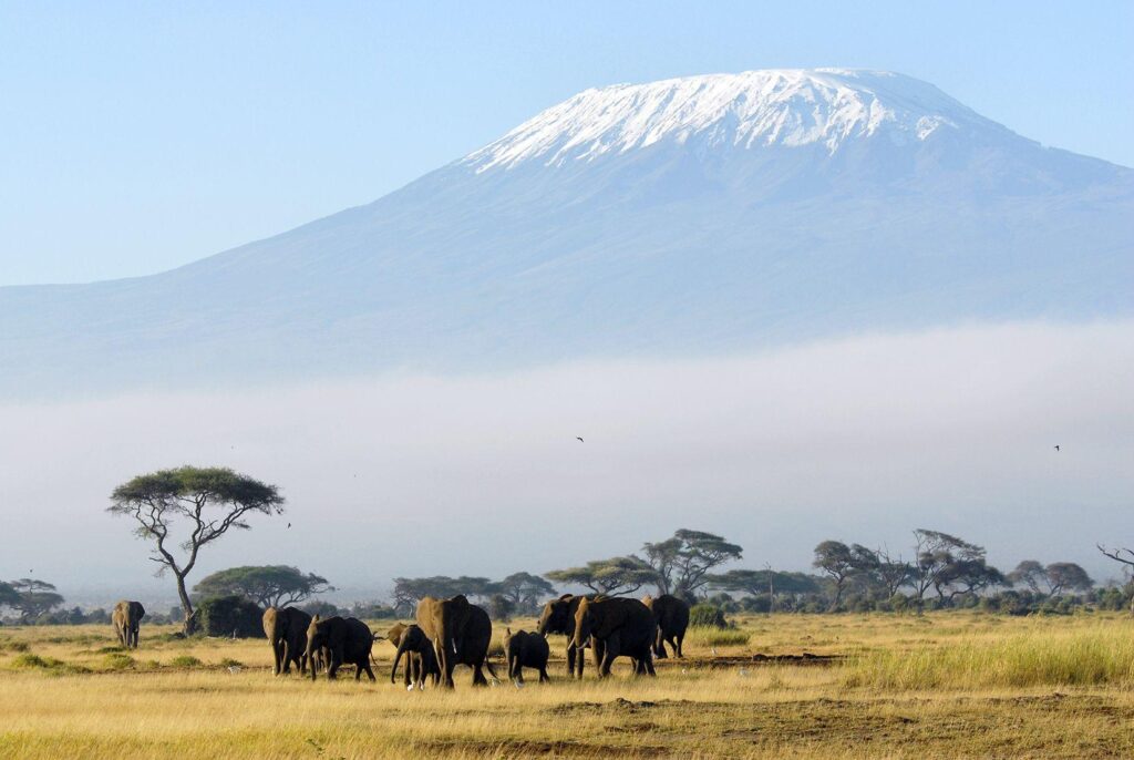 Px Kilimanjaro