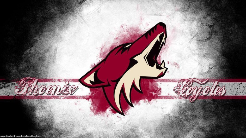 Coyote Wallpapers