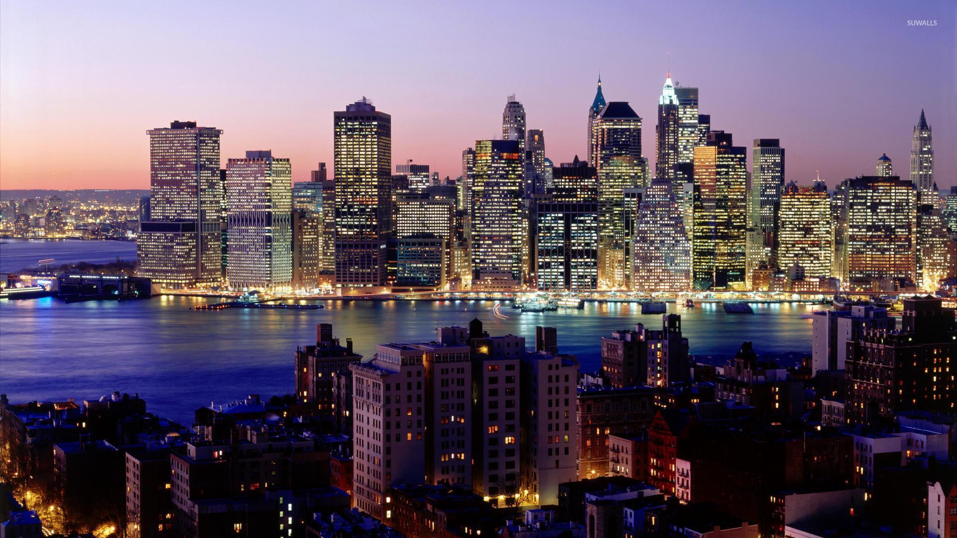 New jersey state flower wallpapers