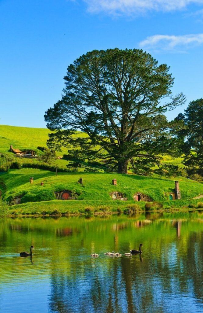 Hobbiton in New Zealand Lovely Place of Hobbit Houses