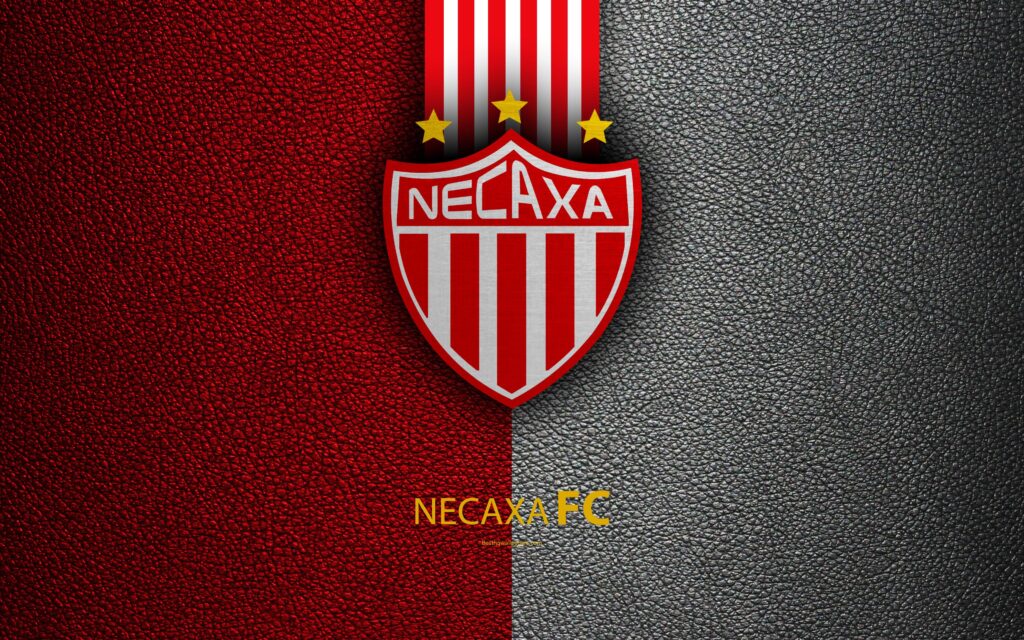 Download wallpapers Club Necaxa, Impulsora del Deportivo Necaxa, k