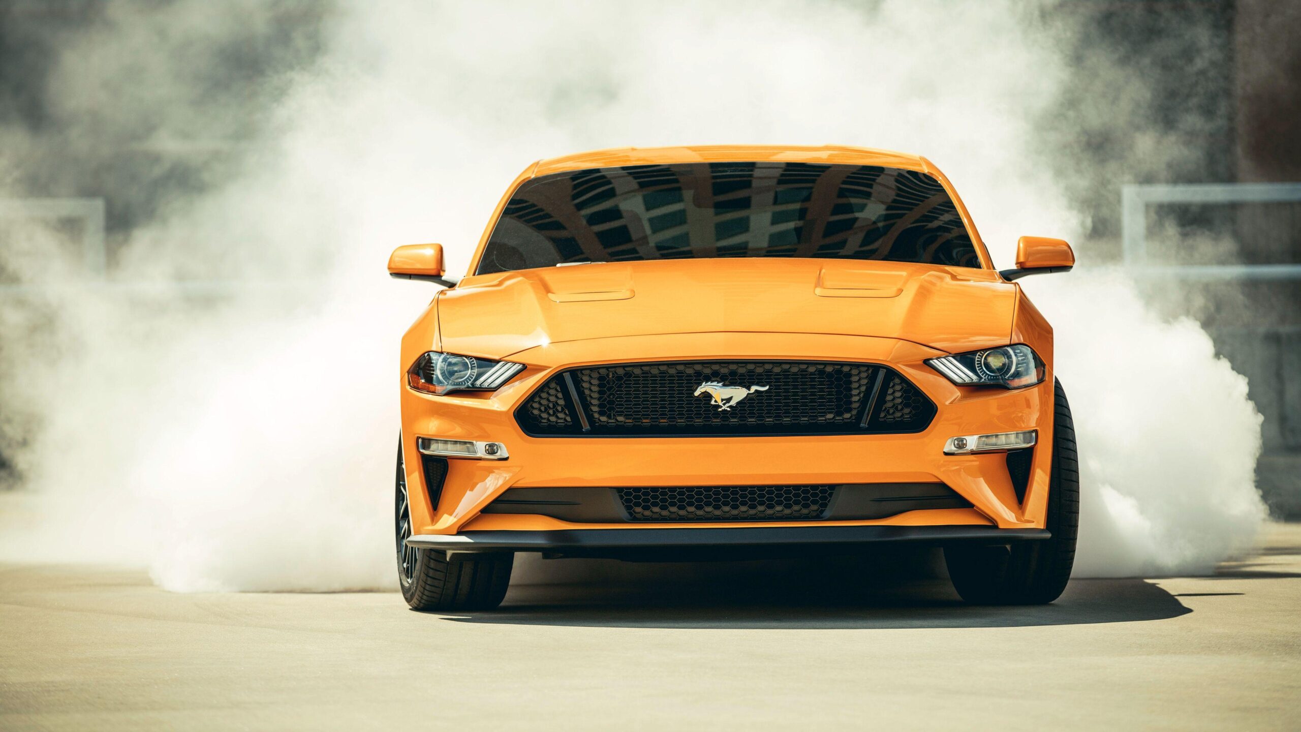 Wallpapers Ford Mustang, , HD, K, Automotive | Cars,