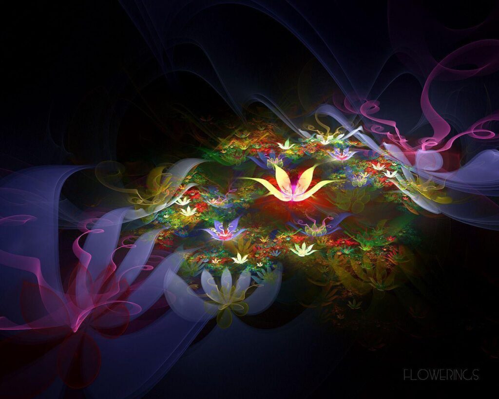 Fantastic lotus flower Wallpapers