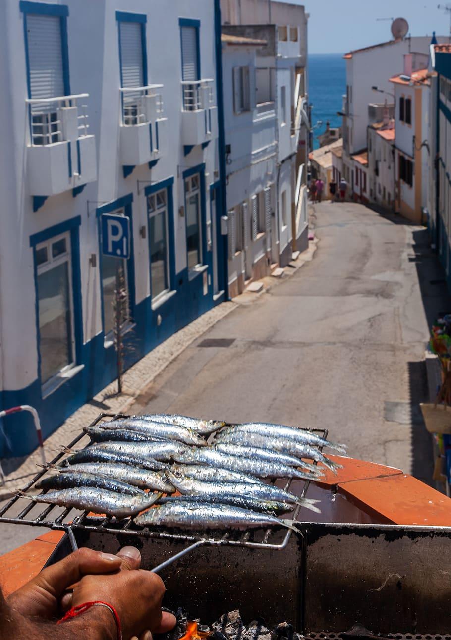 HD wallpaper portugal, lagos, street, fish, old street