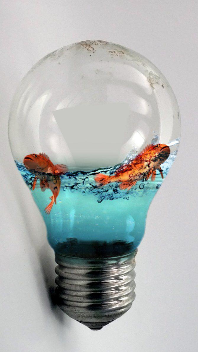 Light Bulb Fish Bowl iPhone Plus Wallpapers by BWestTheFox on