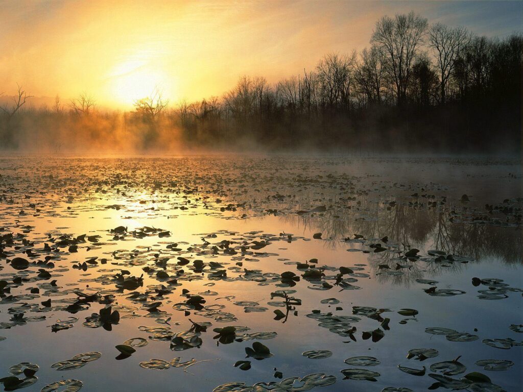 Nature Cuyahoga Valley National Recreation Area At Sunrise, Ohio