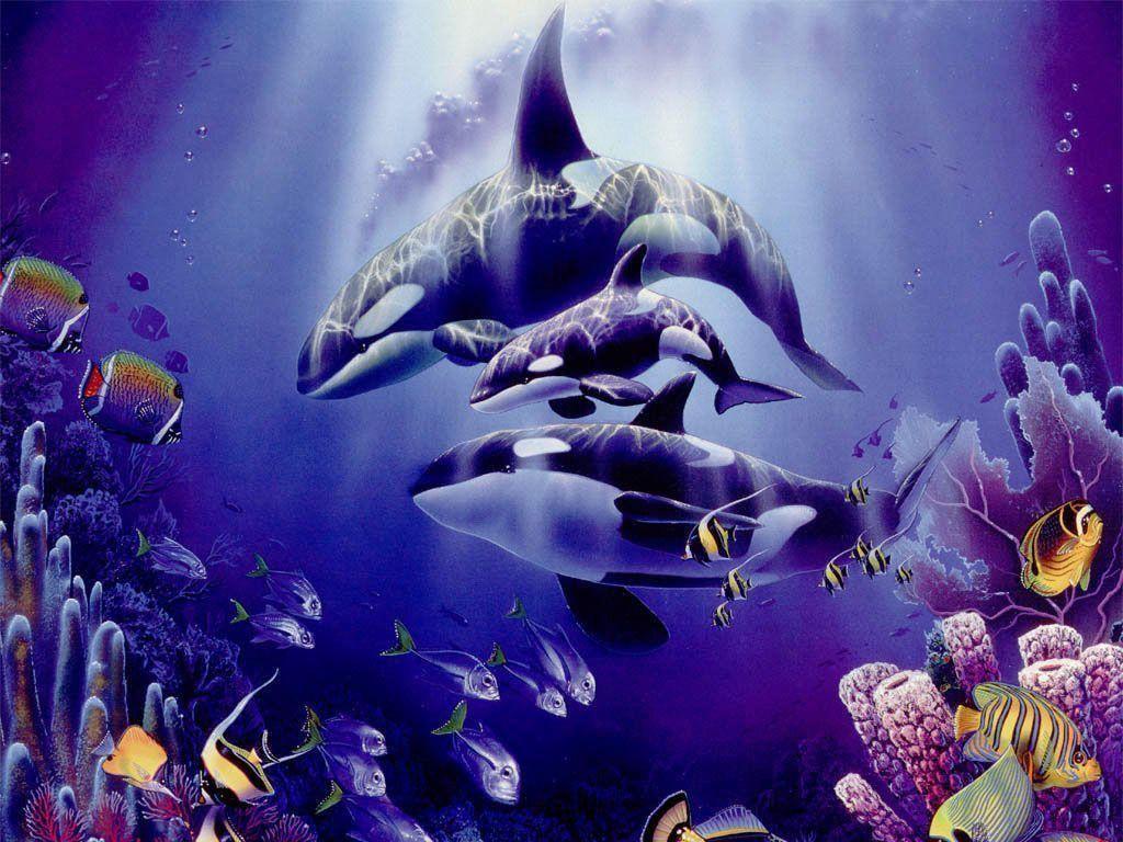 Beautifull Purple Orca Wallpapers High Resoluti Wallpapers
