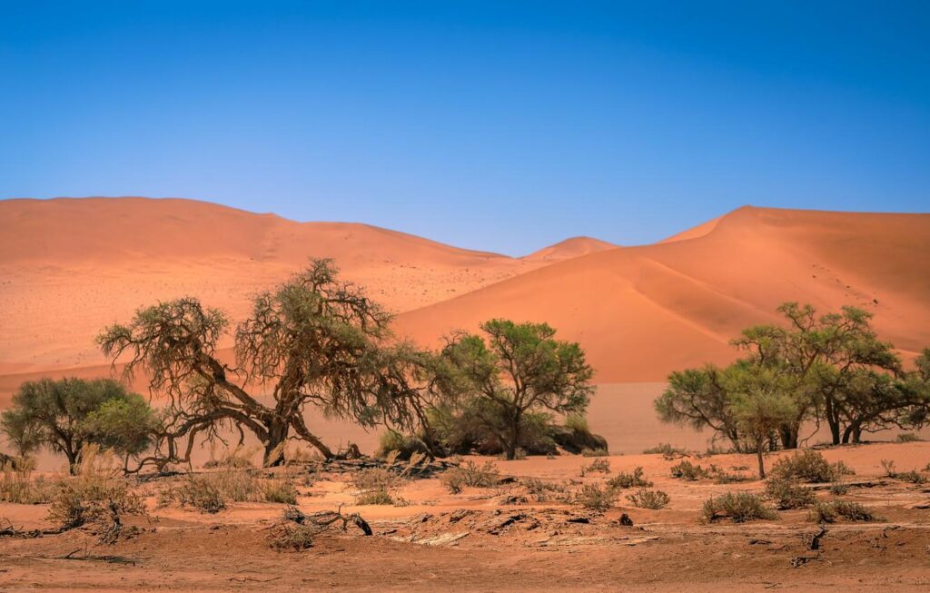 Wallpapers dunes, Africa, Namibia, Sands, Namibia, Sossusvlei Wallpaper