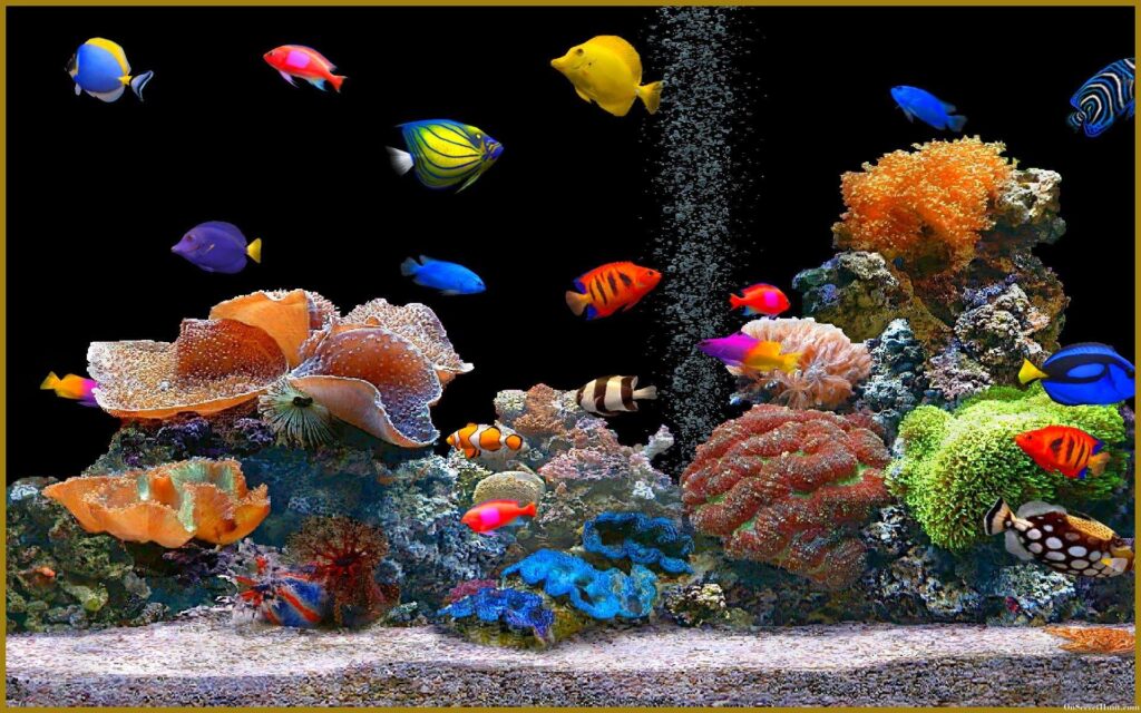 Aquarium Backgrounds, Wallpapers, Wallpaper, Pictures Design Trends